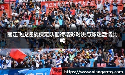 丽江飞虎迎战保定队期待精彩对决与球迷激情共鸣