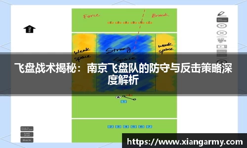 飞盘战术揭秘：南京飞盘队的防守与反击策略深度解析
